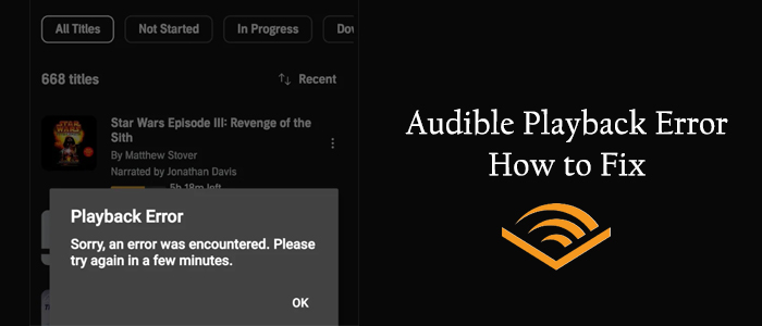 fix audible playback error