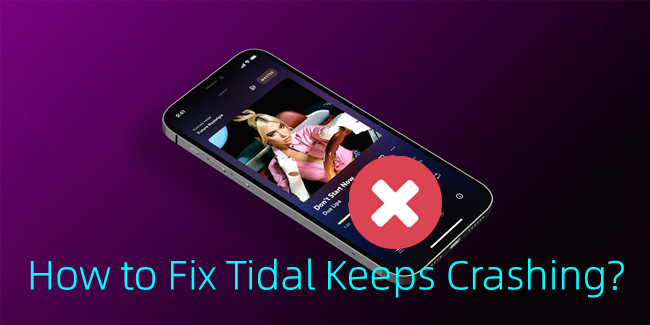 fix tidal keeps crashing