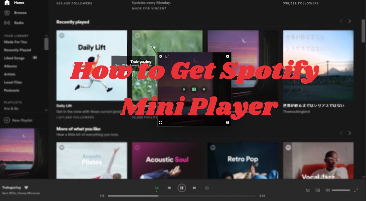 get spotify mini player