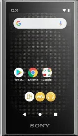 google play store on sony walkman