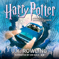 harry potter and the chamber of secrets book