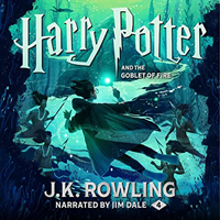 harry potter and the goblet of fire book