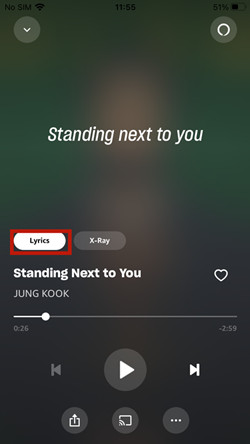 hide amazon music lyrics