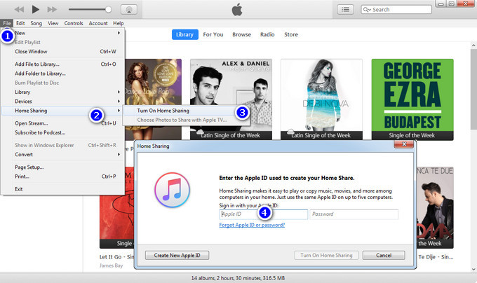 home sharing itunes