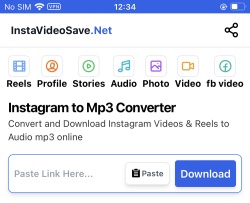 instavideosavenet instagram audio online downloader