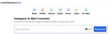 instavideosavenet instagram audio online downloader