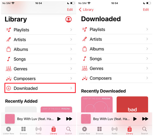 ios apple music downloaded
