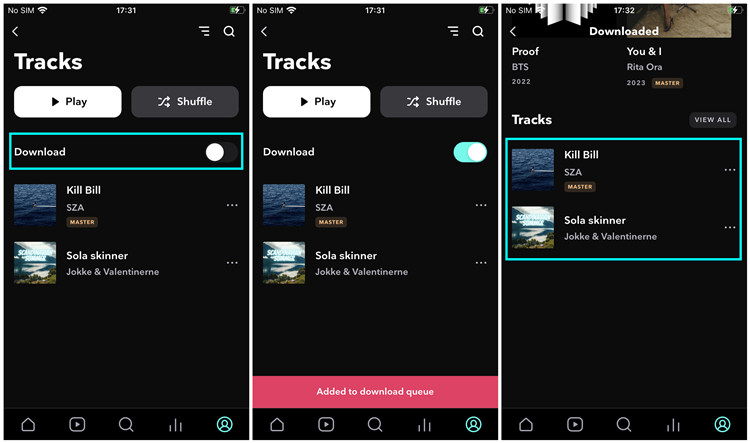 ios download tidal tracks