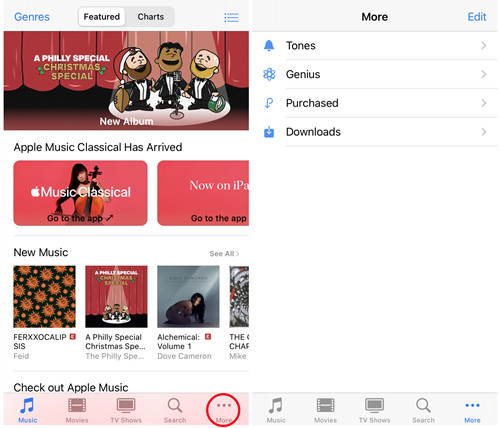 ios itunes store more purchases downloads