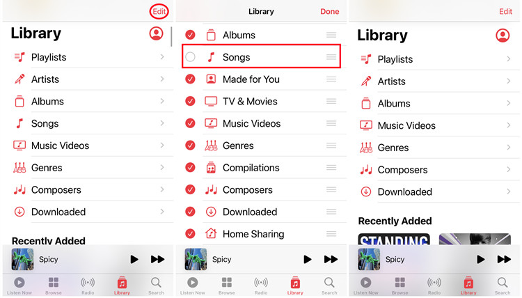 ios music library edit disable songs