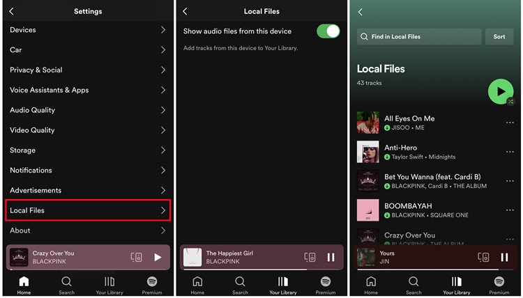 ios spotify local files show audio files from this device