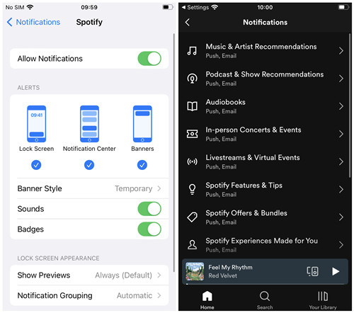 ios spotify notifications settings