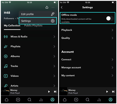 ios tidal offline mode enabled