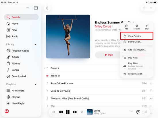 ipados apple music ablum song more view credits