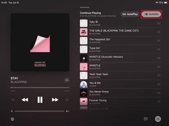 ipados apple music playlist now playing automix