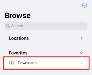 iphone downloads in files
