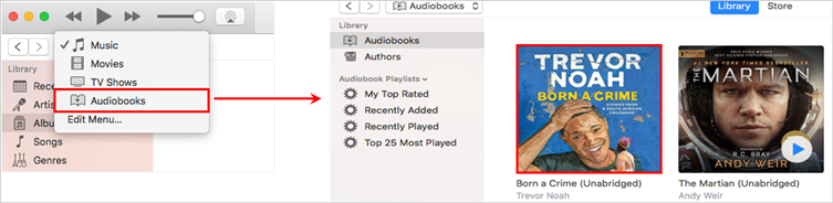 itunes audiobook section
