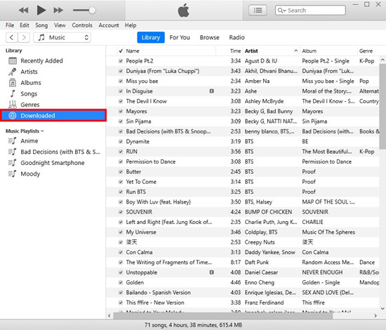 itunes downloaded music