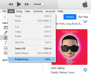 itunes edit preferences