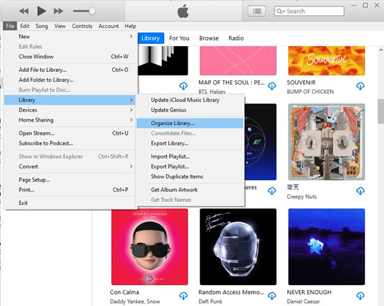 itunes file library organize library