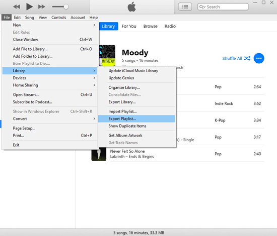 itunes library export playlist