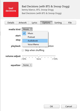 itunes mp3 file song info options media kind audiobooks