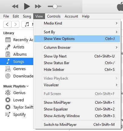 itunes show view options