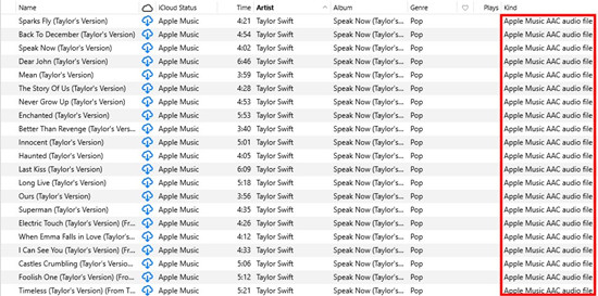 itunes songs kind apple music aac audio file