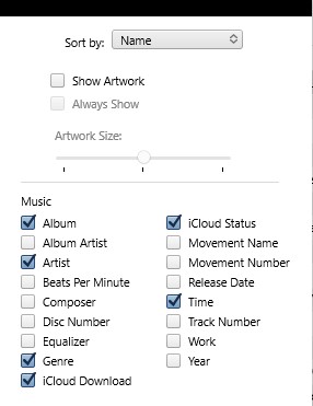 itunes view options icloud status selected