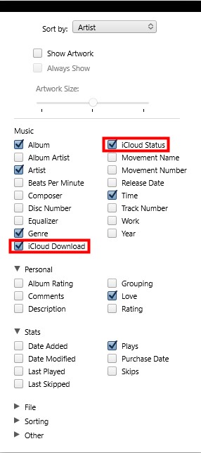 itunes view options icloud