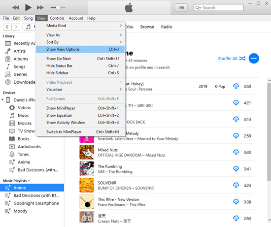 itunes view show view options