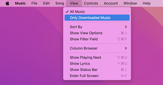 mac music view only downloaded music