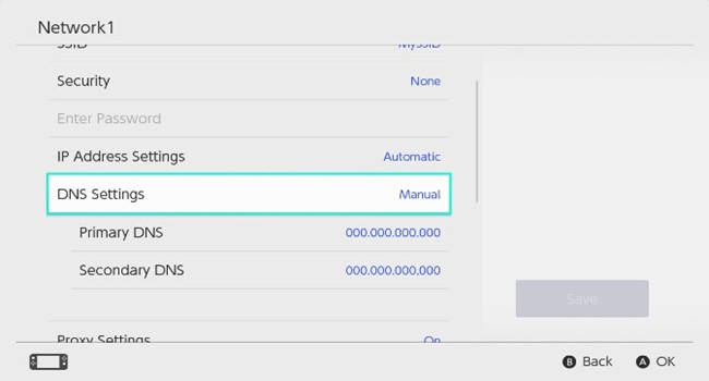 how to manual change DNS Settings on Switch