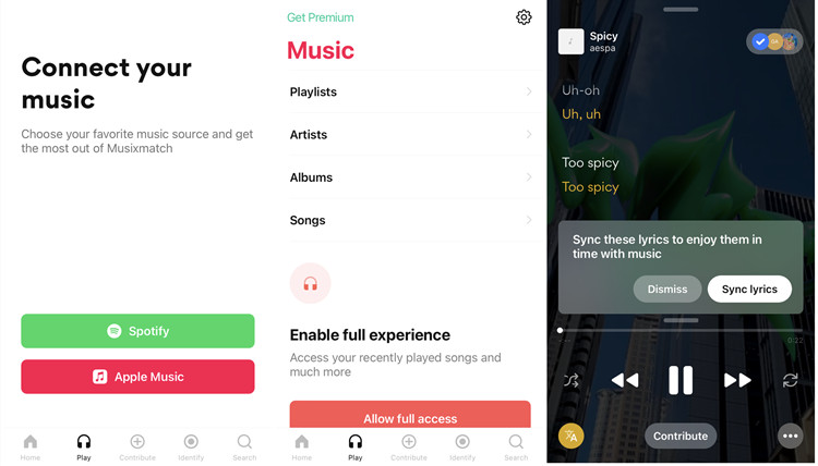 How to See Lyrics on Apple Music