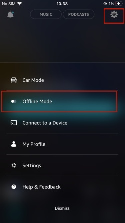 offline mode amazon music