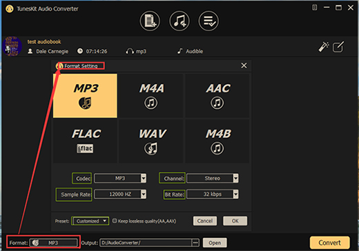 output format setting audio converter