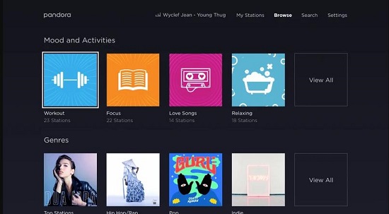 pandora roku app interface