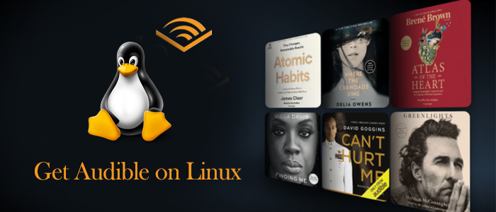 play audible on linux
