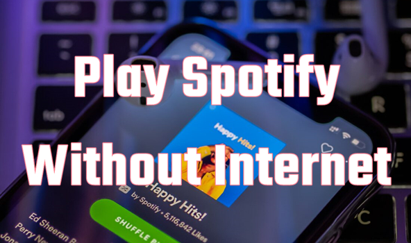 play spotify without internet