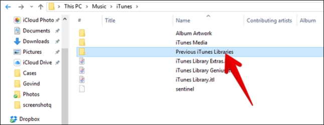 previous itunes libraries