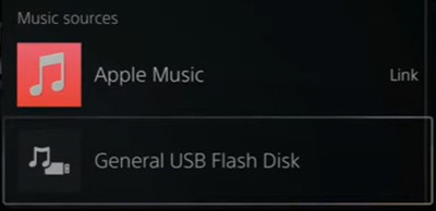 ps5 music general usb flash disk