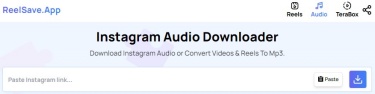 reelsaveapp instagram audio online downloader
