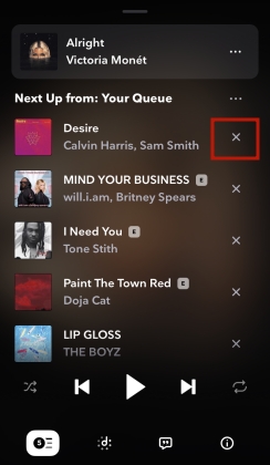 remove songs from play queue on ios