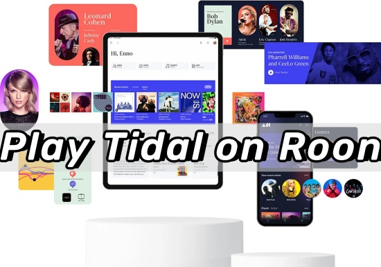 roon tidal connect