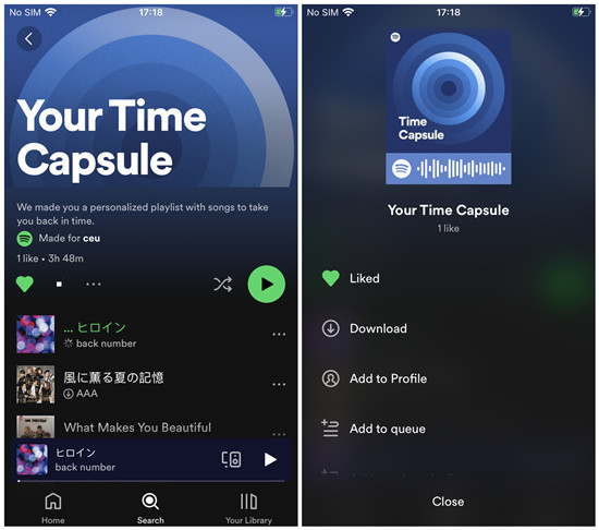 Spotify save your time capsule playlist