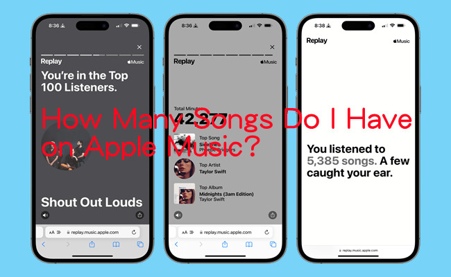 see apple music song count