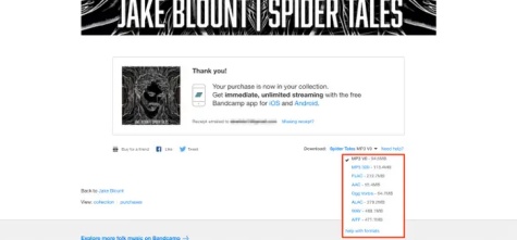 select format bandcamp