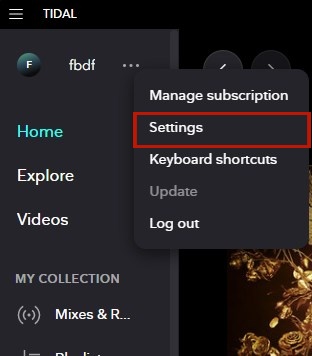 tidal desktop more settings