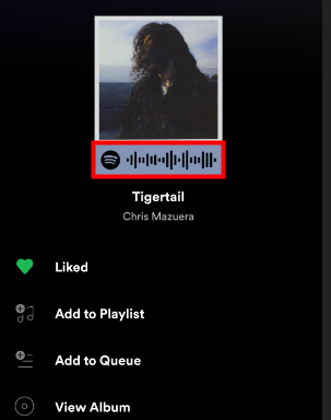 share spotify song code