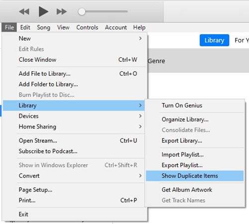 Show Duplicate Items in iTunes